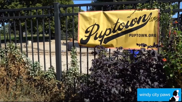 Pup Town Dog Park